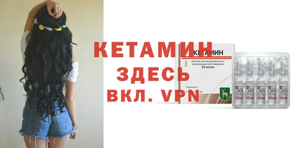 крисы Алексин
