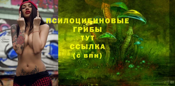 гашик Алзамай