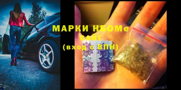гашик Алзамай